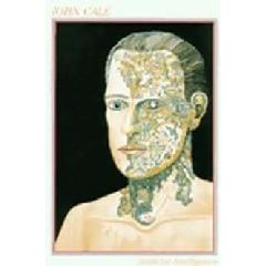 Artificial Intelligence (CD)