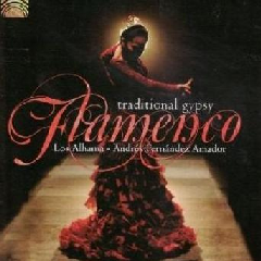 Traditional Gypsy Flamenco (CD / Album)
