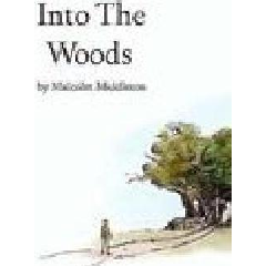 Into the Woods (CD / Album)