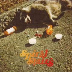 Spiral Stairs - The Real Feel (CD)