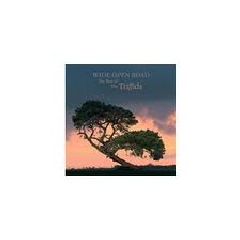 Wide Open Road:Best of the Triffids - (Import CD)