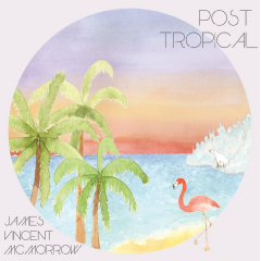 James Vincent Mcmorrow - Post Tropical (CD)
