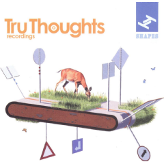 Shapes 08:02 - (Import CD)