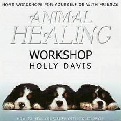 Animal Healing Workshop - (Import CD)