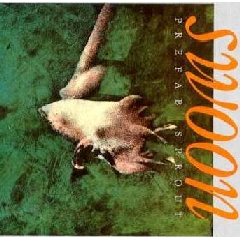Prefab Sprout - Swoon (CD)