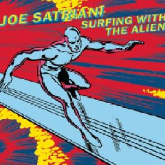 Surfing With The Alien (CD)