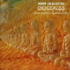 Oneness Silver Dreams Gold Reality - (Import CD)