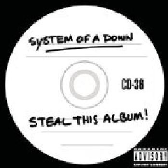Steal This Album (CD)