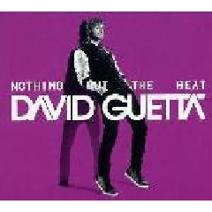 Guetta David - Nothing But The Beat (CD)