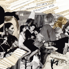 Strawberry Weed (CD)