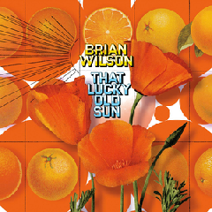 Wilson Brian - That Lucky Old Sun (CD)