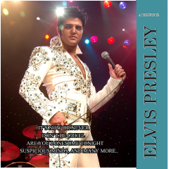 Elvis Presley A Tribute - Various Artists (CD)