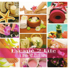 A Day At The Spa - Various Artists (CD)