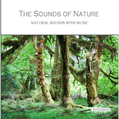 Sounds Of Nature - Mysterious Rainforest - Various Artists (CD)