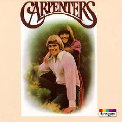 Carpenters (CD)