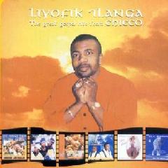 Gospel Hits - Liyofik Ilanga (CD)