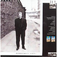Black - Wonderful Life (CD)