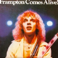 Frampton Comes Alive (CD)