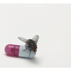 Red Hot Chilli Peppers - I'm With You (CD)