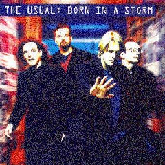 The Usual - Born In A Storm (CD)