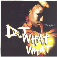 What For? (CD)