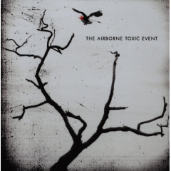 Airborne Toxic Event (CD)