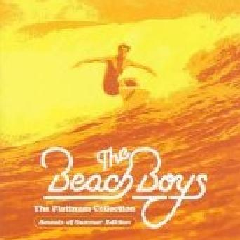 Beach Boys - Platinum Collection (CD)