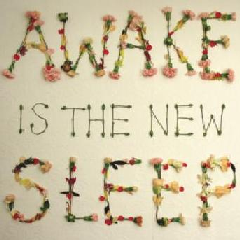 Ben Lee - Awake Is The New Sleep (CD)