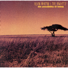 Martin Kevin &amp; The Hiwatts - The Possibility Of Being (CD)