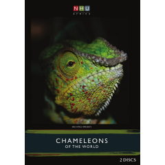 Chameleons Of The World
