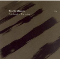 Maupin Bennie - Jewel In The Lotus (CD)