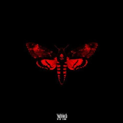 Lil' Wayne - I Am Not A Human Being II (Deluxe) (CD)