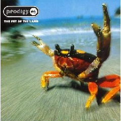Fat Of The Land (CD)