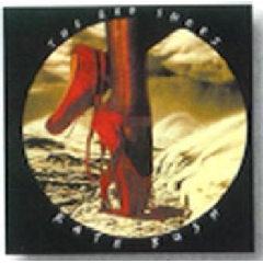 Kate Bush - The Red Shoes (CD)