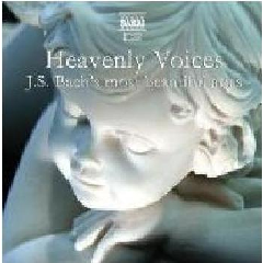 Heavenly Voices (CD)