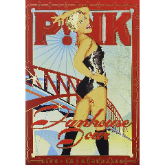 Funhouse Tour Live in Australia - (Australia parallel import)