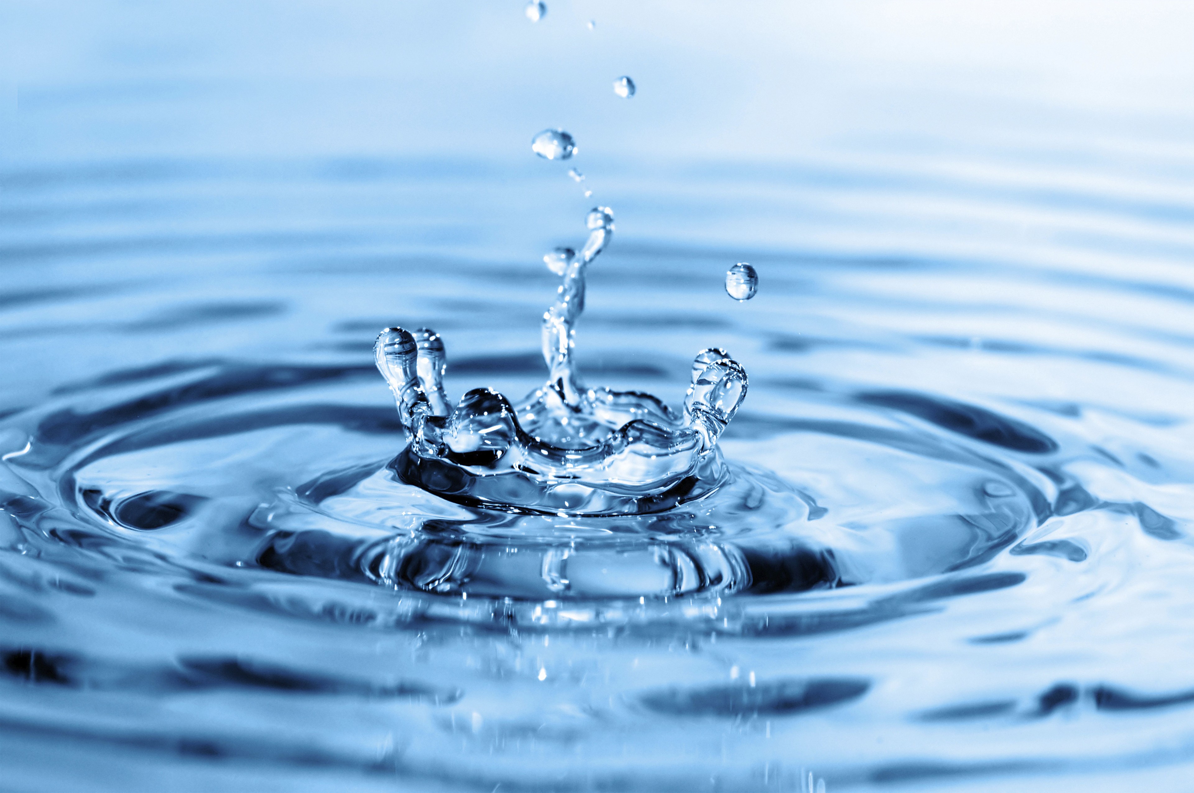 splash