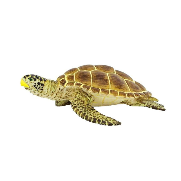 Safari Ltd: Wild Safari Sea Life - Loggerhead Turtle