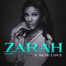 A New Love (CD / Album)