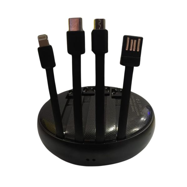 All-in-One Power Bank: 10000mAh, Micro USB, Type-C, Lightning, USB