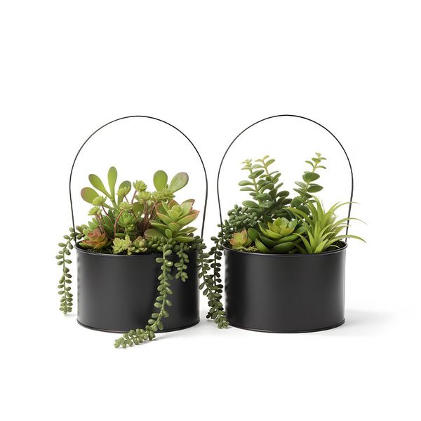 1 Piece Modern Succulent Planter Indoor/Outdoor Decor In 2 Designs