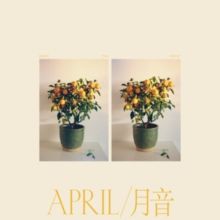 April (CD / Album)