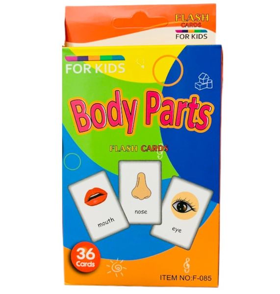 Educational Early Learning Cards