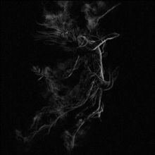 Illusory (CD / Album)