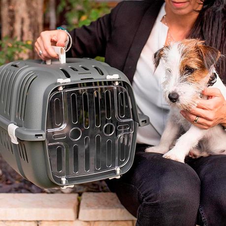 Takealot fashion pet carrier