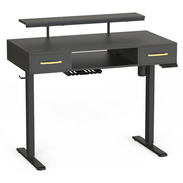 Electric Standing Desk Adjustable Height Desk with Drawer &amp; Monitor Stand