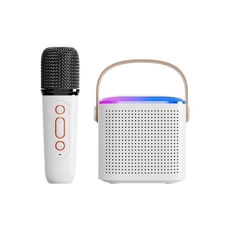 Karaoke speakers with store microphone