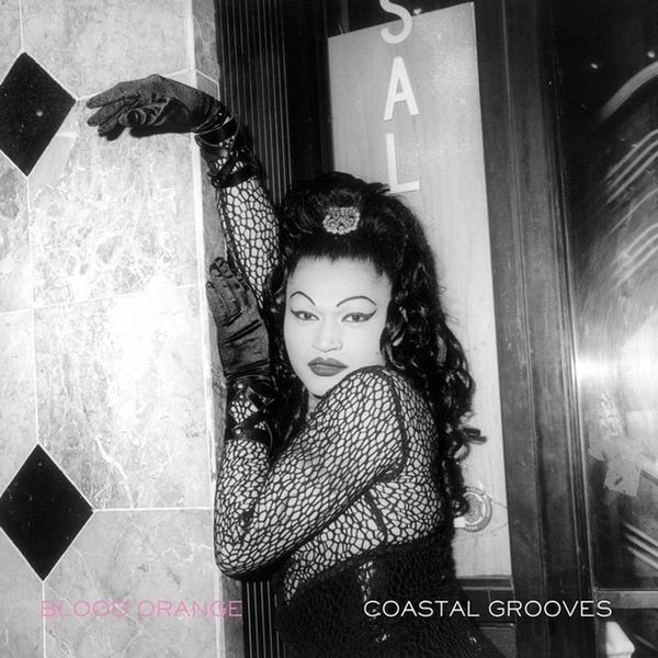 Blood Orange - Coastal Grooves Vinyl LP Album