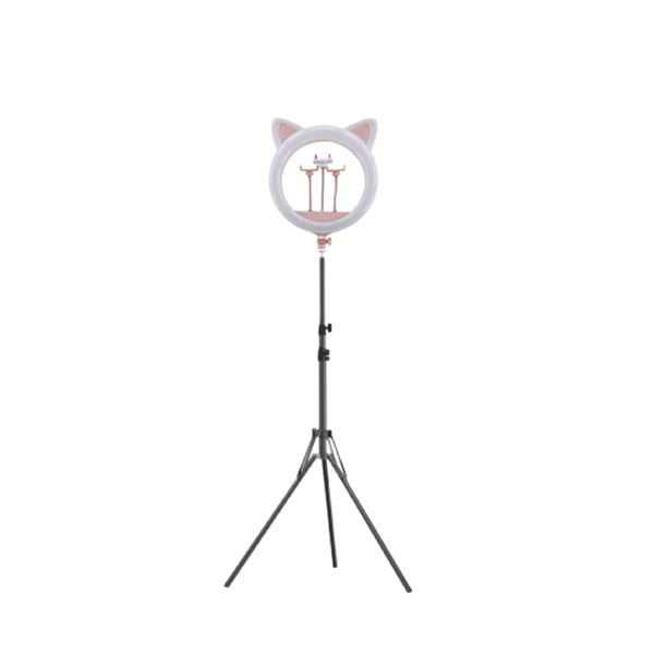 20" RK-45 Live Streaming Light