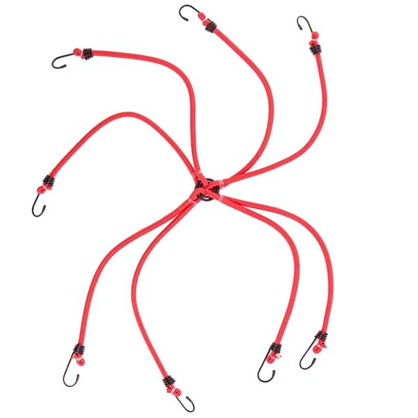 Dekton 6 Arm 40" x 8MM Spider Hook Bungee Cord